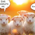 sheep-puns