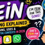 Fein meaning