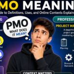 PMO meaning