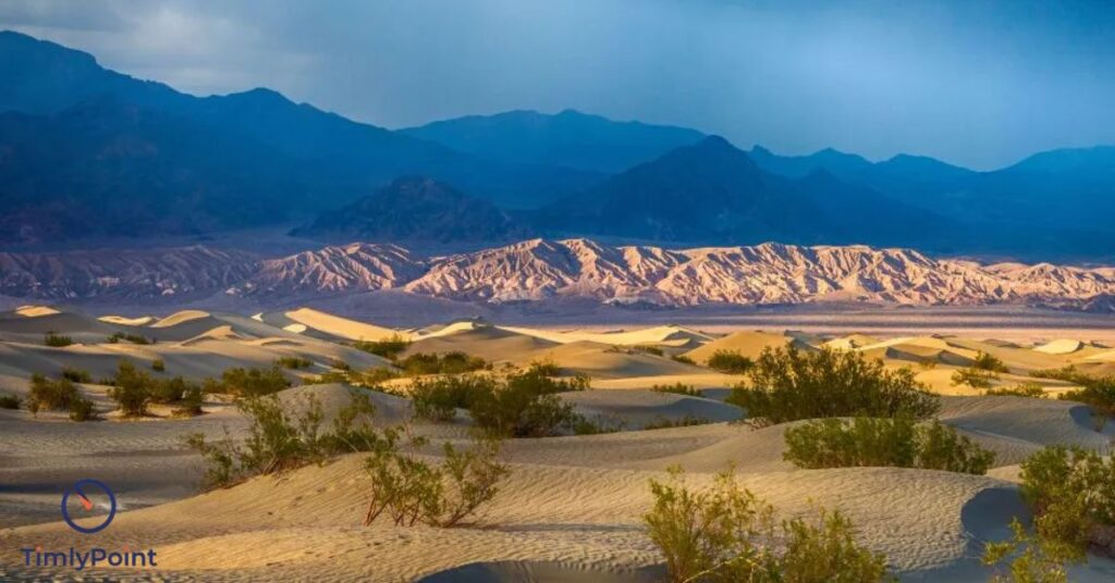 funny-desert-puns-captions