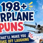 airplane puns